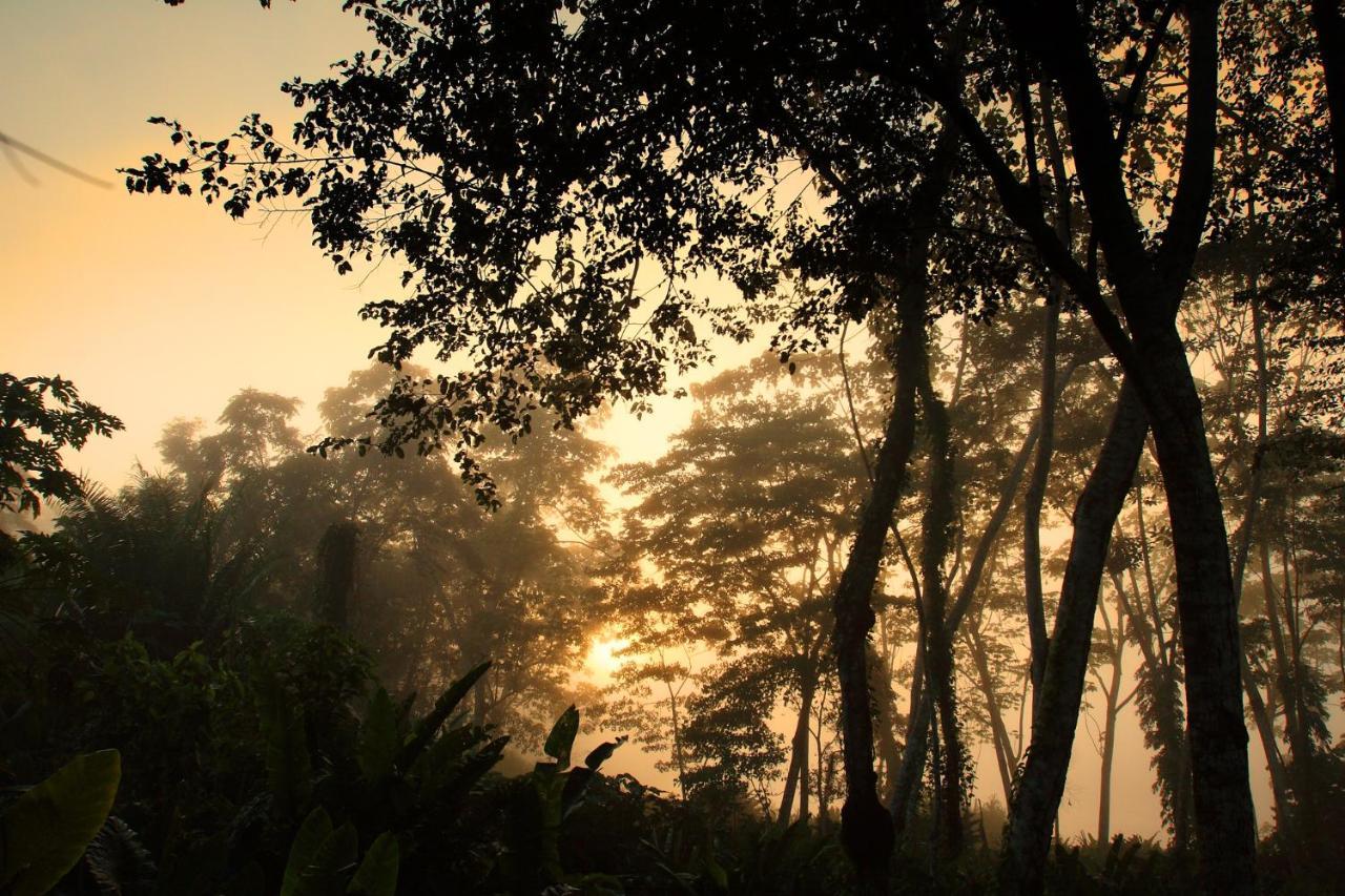 Wasai Tambopata Lodge Exteriör bild